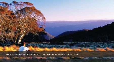 Alpine View Apartments - Tourism Caloundra 1