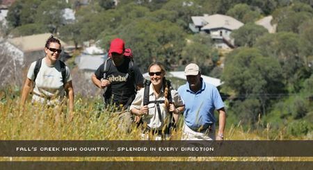 Alpine View Apartments - Tourism Caloundra 3
