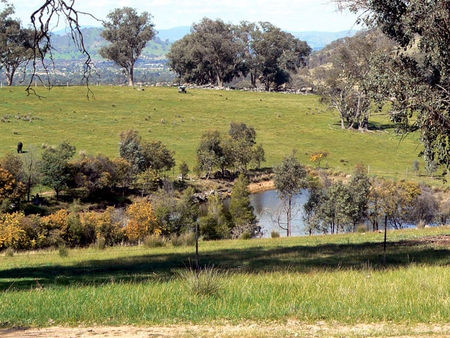 Gaddleen Grove Cottages - Tourism Caloundra 3