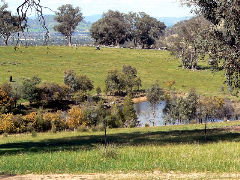 Gaddleen Grove Cottages - Tourism Caloundra 5
