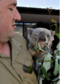 Consise By Moonlight Head Private Lodges - Tourism Caloundra 5