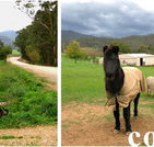 Emerald Park Holiday Farm - Tourism Caloundra