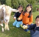 Johanna River Farm and Cottages - Tourism Caloundra