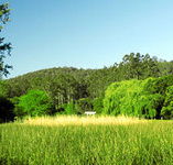 Waterholes Guest House - Tourism Caloundra