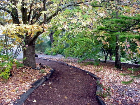 Brigadoon Cottages - Tourism Caloundra 3