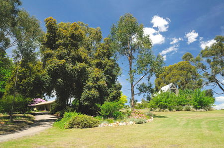 Brigadoon Cottages - Tourism Caloundra 5