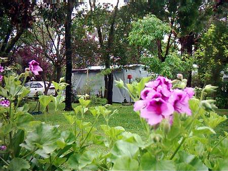 Beach Park Tourist Caravan Park - Tourism Caloundra 2
