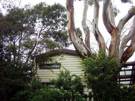 Beach Park Tourist Caravan Park - Tourism Caloundra 3