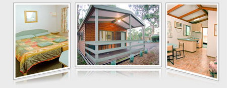 A Maze N Things Holiday Park - Tourism Caloundra 5