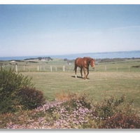First Class Bed and Breakfast - Tourism Caloundra