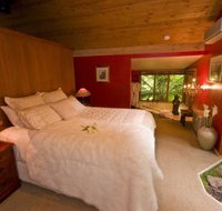 Linden Gardens Rainforest Retreat - Tourism Caloundra