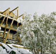 Silverski - Tourism Caloundra