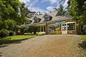 Tamborine Mountain QLD Tourism Caloundra