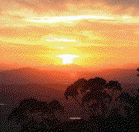 Avocado Sunset - Tourism Caloundra