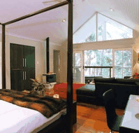 Songbirds Rainforest Retreat - Tourism Caloundra