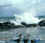 Bargara Beach Motor Inn - Tourism Caloundra