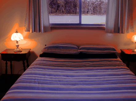 Lake Yalleena Cabins - Tourism Caloundra