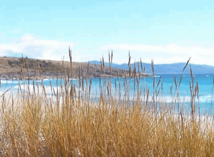 Four Mile Beach TAS Tourism Caloundra