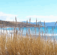 White Sands Estate - Tourism Caloundra