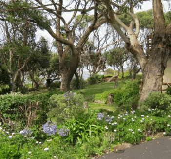 Anchlia Waterfront Cottage - Tourism Caloundra 2