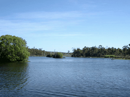 Currawong Lakes - Tourism Caloundra