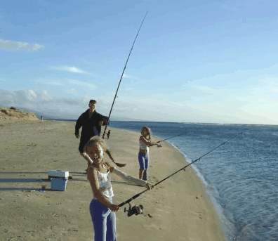 Freycinet Beach Apartments - Tourism Caloundra 2
