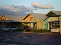 Cockle Shells - Tourism Caloundra 0