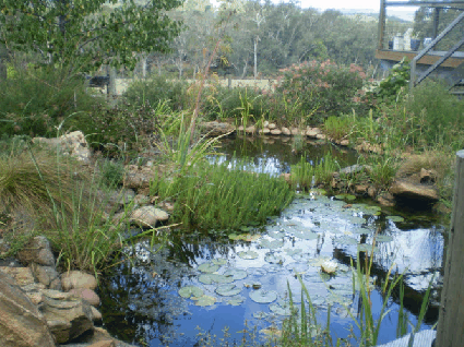 Crabapple Lane Bed & Breakfast - Tourism Caloundra 2