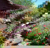 Chestnut Brook Cottage - Tourism Caloundra