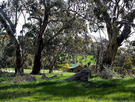 Wuthering Heights - Tourism Caloundra 1
