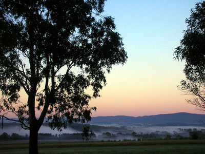 Bluebush Estate - Tourism Caloundra 0