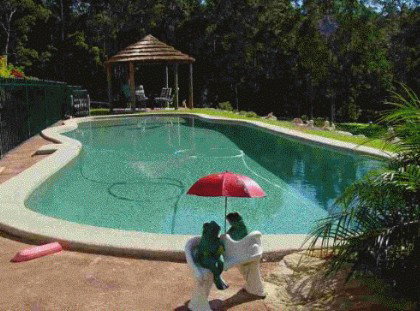 Greenacres Bed And Breakfast - Tourism Caloundra 4