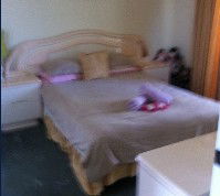 Lake Illawarra Bed & Breakfast - Tourism Caloundra 2