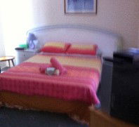 Lake Illawarra Bed & Breakfast - Tourism Caloundra 4
