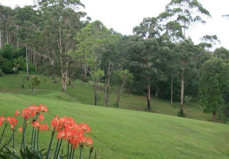 Woodridge Park Country Retreat - Tourism Caloundra 3