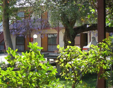 Central Motor Inn Wentworth - Tourism Caloundra 2