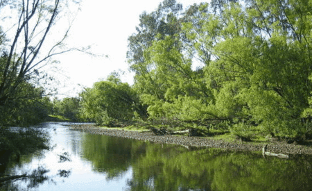 Ribbonwood Cottages - Tourism Caloundra