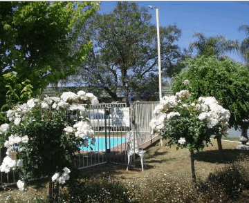Aromet Motor Inn - Tourism Caloundra 5