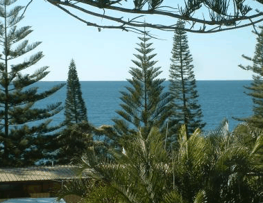 Next Seabreeze Beach Hotel - thumb 2