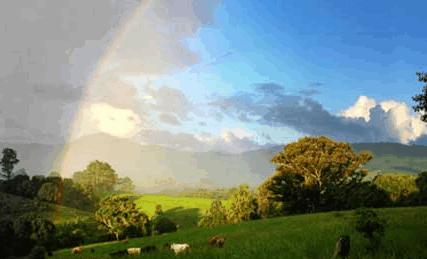 Nimbin Rox YHA - Tourism Caloundra 3