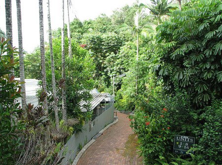 Tree Tops Lodge Cairns - Tourism Caloundra 2