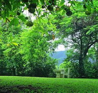 Misty Mountain Retreat - Tourism Caloundra