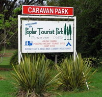 Poplar Tourist Park - Tourism Caloundra