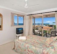 Allez Pacific Rose - Tourism Caloundra