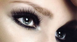 Honey Body Salon - Tourism Caloundra 2