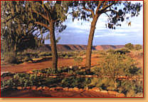 Kings Creek Station - Tourism Caloundra 1