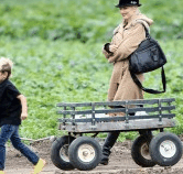 Perth City Farm Organic Markets - Tourism Caloundra