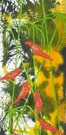 Jahroc Mill Gallery - Tourism Caloundra 3