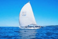 Manly Harbour Village - Tourism Caloundra