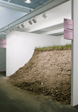 Ryan Renshaw Gallery - Tourism Caloundra 1